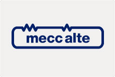 viking industrial alternator brands meccalte