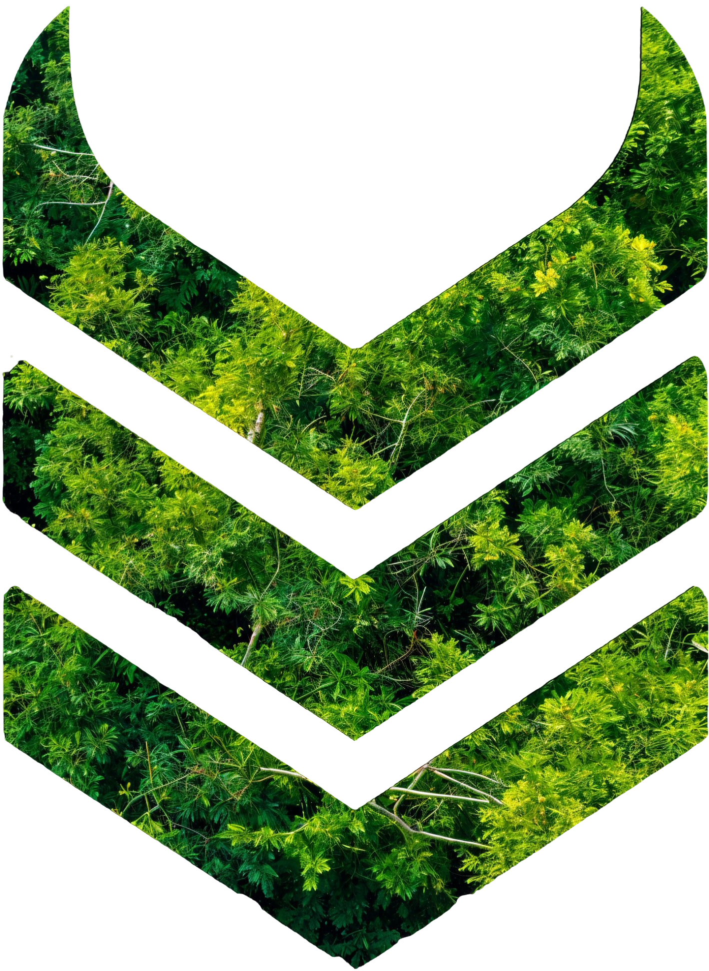 Arrow HD Green